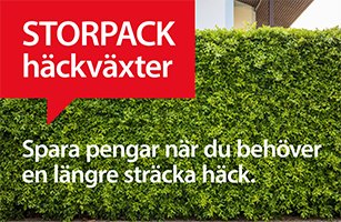 Storpack_Hackvaxter_307x200.png